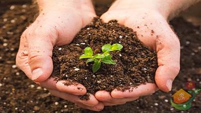 انتخاب خاک مناسب برای محوطه سازی در گیلان