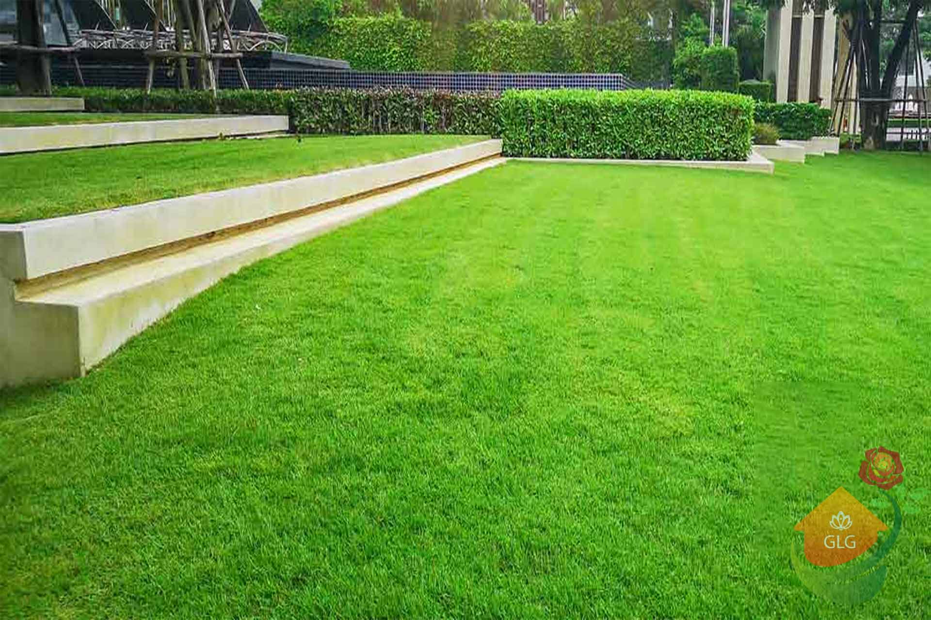 نگهداری چمن طبیعی در مناطق مرطوب