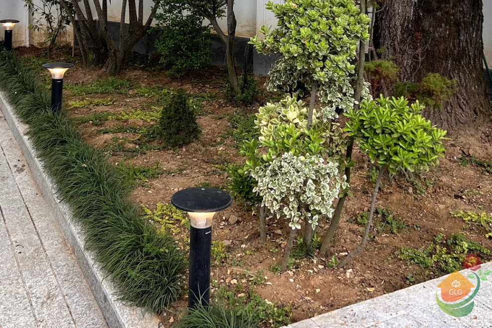 پروژه محوطه سازی در ماسال