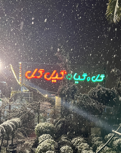 گیل گل برفی زمستان 1403