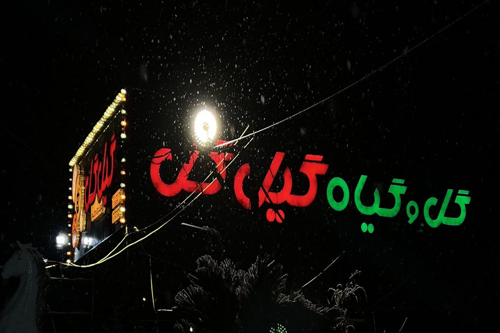 گیل گل برفی زمستان 1403