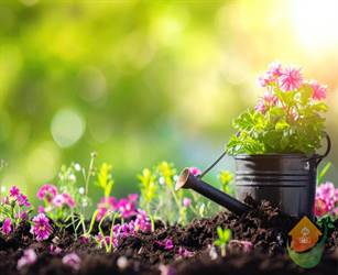 پکیج‌ های نگهداری ماهانه فضای سبز ویلا از 1.2 تا 4.8 میلیون تومان با خدمات هرس، آبیاری، سمپاشی و طراحی. مقایسه قیمت‌ها و راهنمای انتخاب بهترین پکیج برای مساحت‌های مختلف.